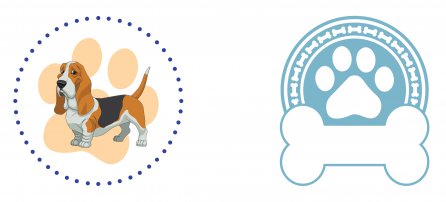 Perro, mascota, Basset Hound