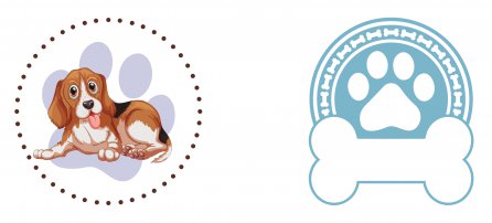 Perro, mascota, beagle