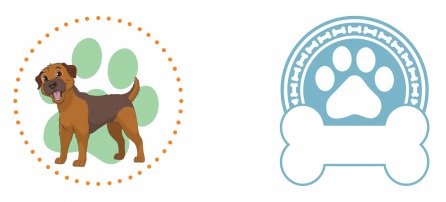 Perro, mascota, terrier de frontera