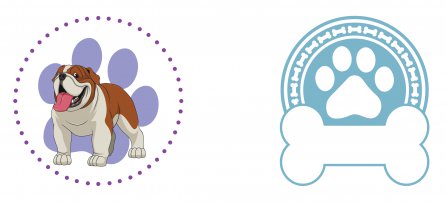 Perro, mascota, bulldog