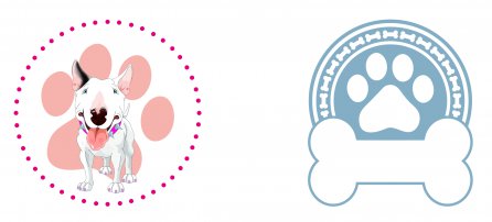 Perro, mascota, bullterrier