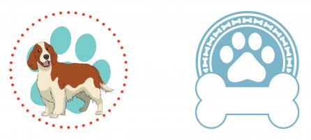 Perro, mascota, cocker