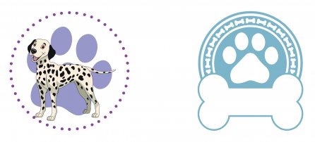 Perro, mascota, dalmata