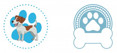 Perro, mascota, Jack Russel