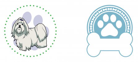 Perro, mascota, malta