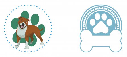 Perro, mascota, pit bull