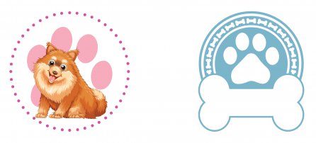 Perro, mascota, Pomerania