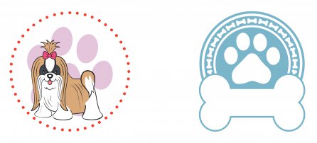 Perro, mascota, shitzu