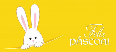 Pascua - Feliz Pascua, conejo