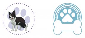 Plantilla similar: Perro, mascota, border collie