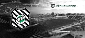 Plantilla similar: Figueirense, fútbol
