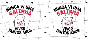 Plantilla similar: Amizade, Flork - Nunca vi a una gallina vivir tantos años